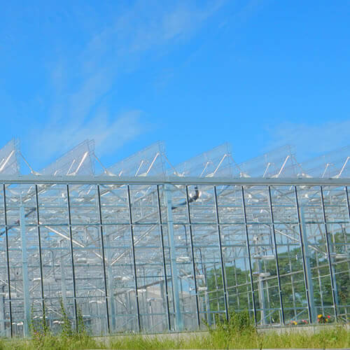 plantopia all cimate greenhouse with automatic fully opening roof