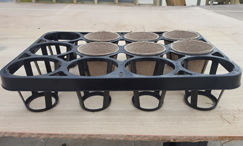 plantopia skelly tray